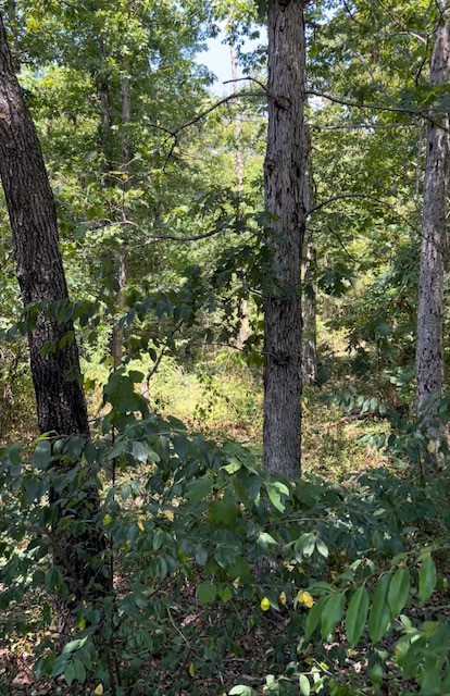Build your new home near everything fun! Bike trails, pool, golf course, pickle ball courts nearby! Great location! Soil has been tested. This lot is ready to go!