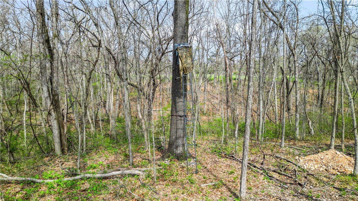 POSY MOUNTAIN RANCH UNIT 4-RURBAN - Land