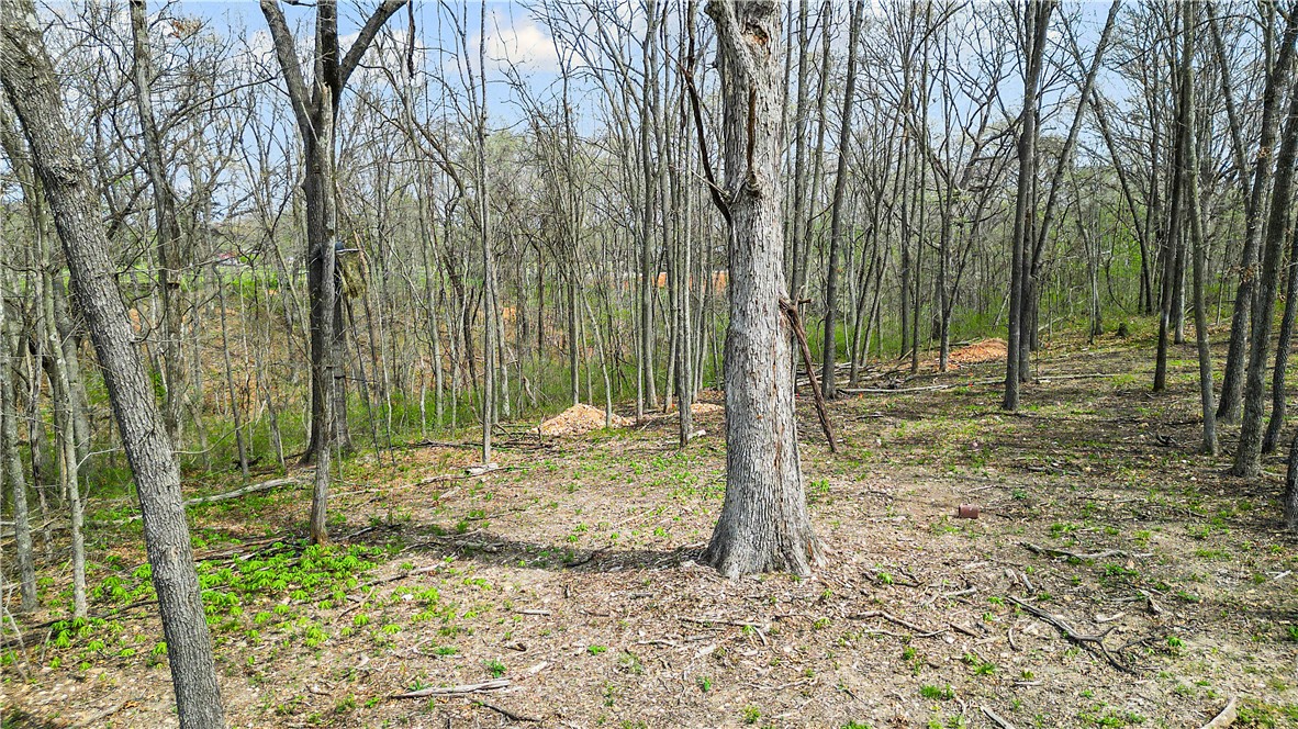 POSY MOUNTAIN RANCH UNIT 4-RURBAN - Land