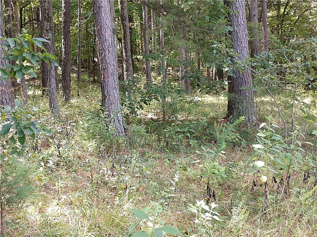 1/2 acre wooded lot near Beaver Lake and Rocky Branch Marina. Electricity and public water at the street. Water tap is already paid for. Very peaceful and quiet.
