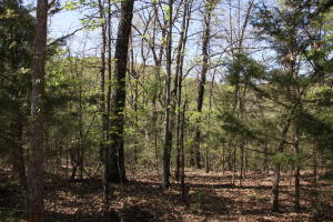 Great building site with view of Table Rock Lake. Just 1 mile to Crickett Marina & only 15 minutes south of Branson, Missouri.