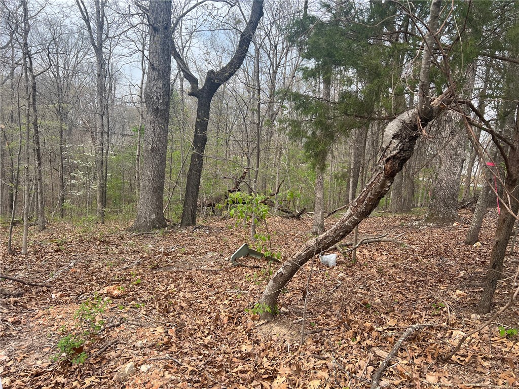 Cunningham Sub Bvv - Land