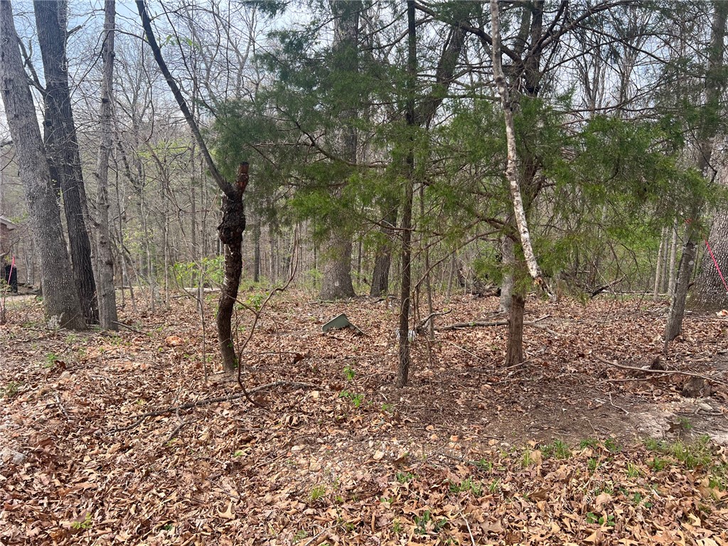 Cunningham Sub Bvv - Land