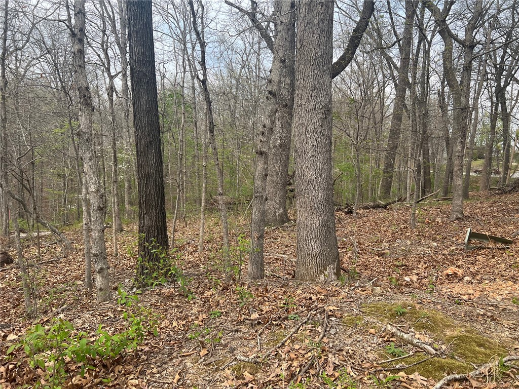 Cunningham Sub Bvv - Land