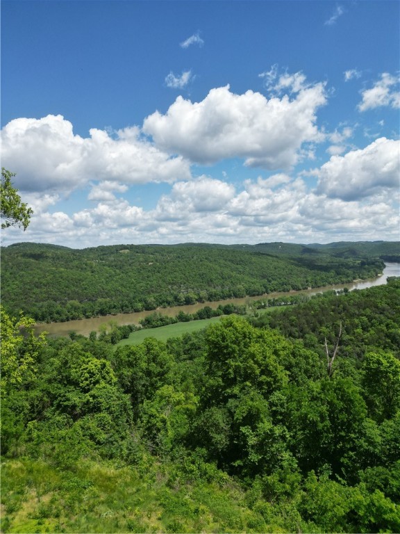 Discover a rare opportunity to own 5 breathtaking acres in the heart of Mountain View, Arkansas. Perched above the scenic White River, this property boasts panoramic views and the peaceful seclusion you’ve been searching for. Perfect for building a dream home, weekend getaway, or vacation rental, the land features gently rolling terrain, mature trees, and easy access to fishing, kayaking, and outdoor recreation. Just minutes from the vibrant music and arts scene of downtown Mountain View, you'll enjoy the best of both worlds—tranquility and convenience. Whether you're looking to invest, build, or escape, this parcel offers endless possibilities. With views this stunning and a location this desirable, opportunities like this don’t last long. Come experience the beauty, charm, and potential of this one-of-a-kind property today.