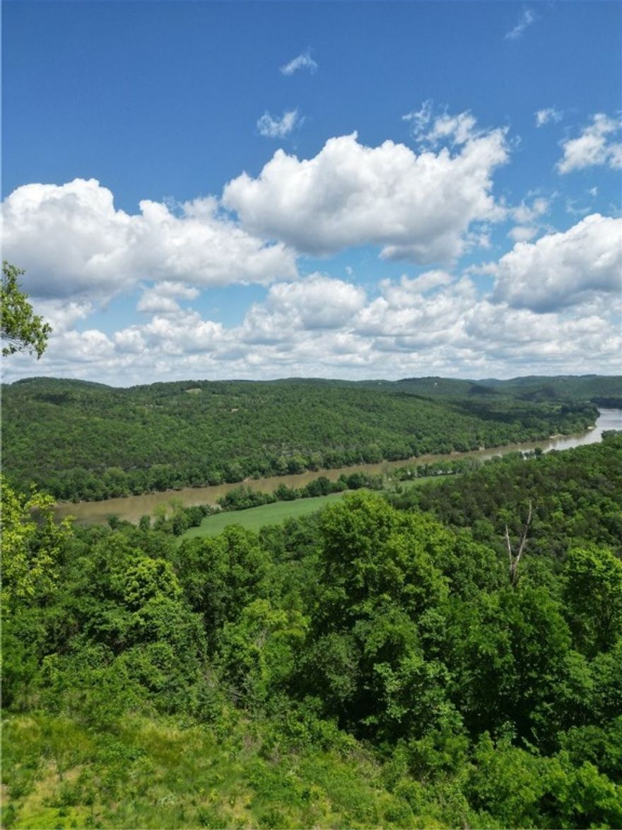 Discover a rare opportunity to own 5 breathtaking acres in the heart of Mountain View, Arkansas. Perched above the scenic White River, this property boasts panoramic views and the peaceful seclusion you’ve been searching for. Perfect for building a dream home, weekend getaway, or vacation rental, the land features gently rolling terrain, mature trees, and easy access to fishing, kayaking, and outdoor recreation. Just minutes from the vibrant music and arts scene of downtown Mountain View, you'll enjoy the best of both worlds—tranquility and convenience. Whether you're looking to invest, build, or escape, this parcel offers endless possibilities. With views this stunning and a location this desirable, opportunities like this don’t last long. Come experience the beauty, charm, and potential of this one-of-a-kind property today.
