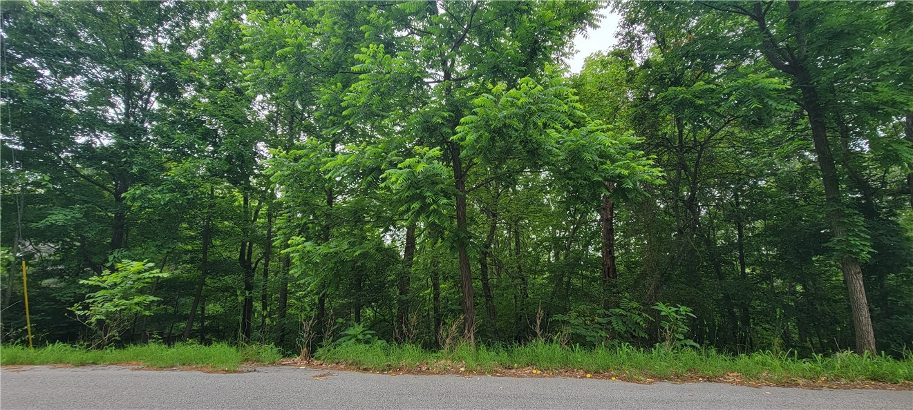 Check out this amazing Bella Vista lot. Located near the Lago Vista trailhead as well as the Bamboozled trailhead. Lake Avalon and the Lake Avalon beach are just right around the corner.