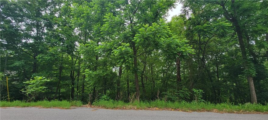 Check out this amazing Bella Vista lot.  Located near the Lago Vista trailhead as well as the Bamboozled trailhead.  Lake Avalon and the Lake Avalon beach are just right around the corner.