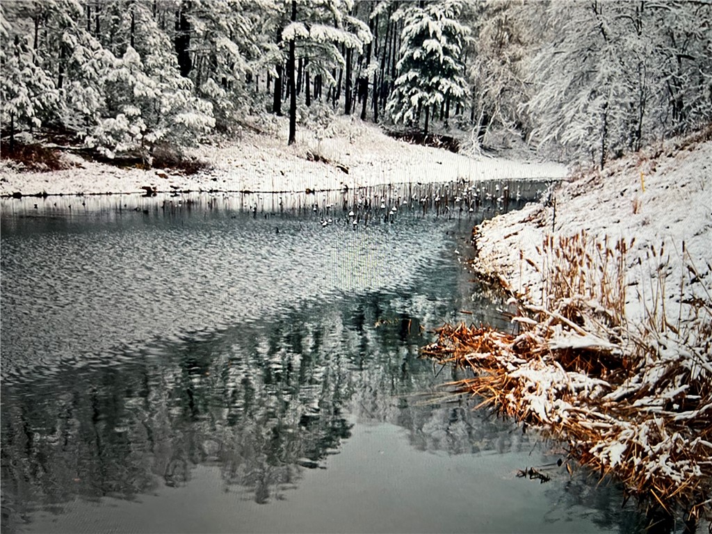 Unit 102 Holiday Island - Land