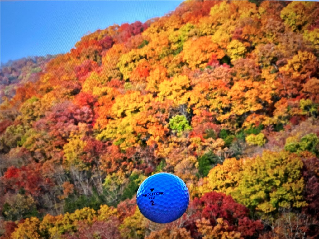 Unit 102 Holiday Island - Land