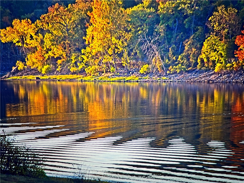 Unit 102 Holiday Island - Land