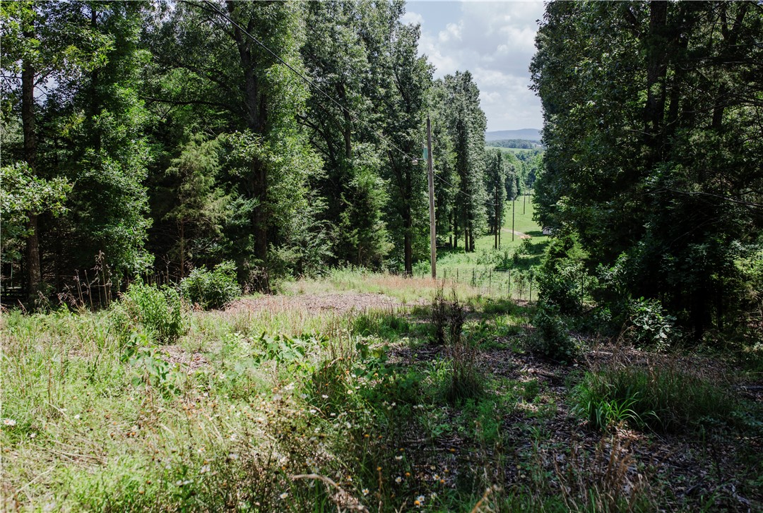 238 County Road 729