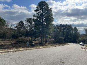 Build Your Dream Home on Skyline!This exceptional residential lot in a highly sought-after area offers great views and endless possibilities. Nestled in a peaceful, desirable neighborhood, it's the perfect spot to design and build your dream home. Enjoy the tranquility of nature while being close to all the amenities you need. With its prime location, this is an opportunity you won't want to miss. Create the lifestyle you've always dreamed of.