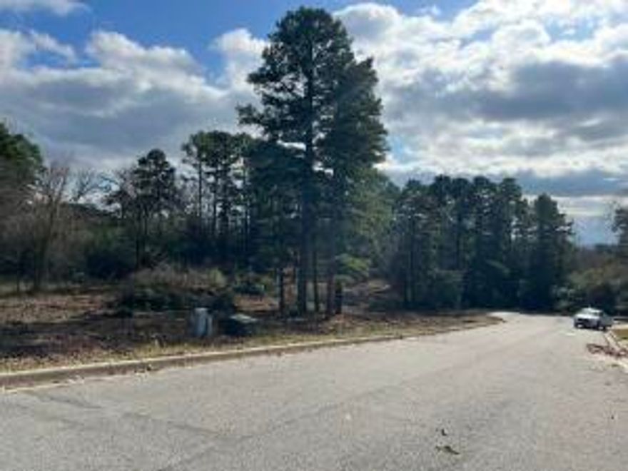 Build Your Dream Home on Skyline!This exceptional residential lot in a highly sought-after area offers great views and endless possibilities. Nestled in a peaceful, desirable neighborhood, it's the perfect spot to design and build your dream home. Enjoy the tranquility of nature while being close to all the amenities you need. With its prime location, this is an opportunity you won't want to miss. Create the lifestyle you've always dreamed of.