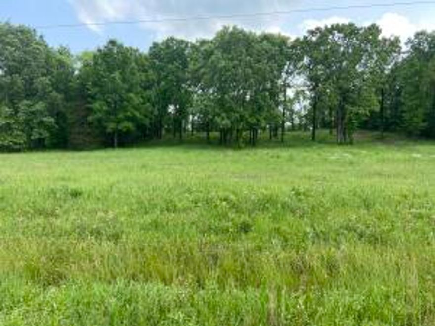 Looking for land to build your new home??? 6.97 Acres m/l with the perfect spot to build already cleared. Utilities at the road.