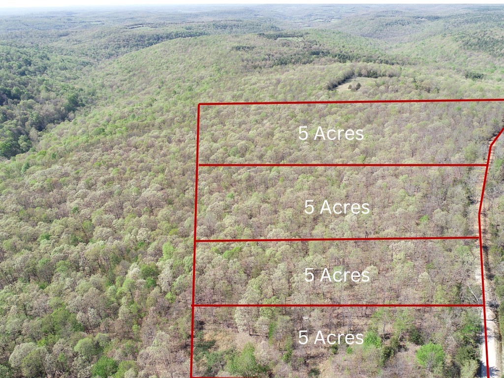 5 acre parcels for sale in the Ozarks west of Kingston near Kings River and Buffalo River areas. Perfect spot to build a cabin for some peace and tranquility. Buy 5 up to 20 acres in this purchase. First come first serve on parcels. Call agent for more info.