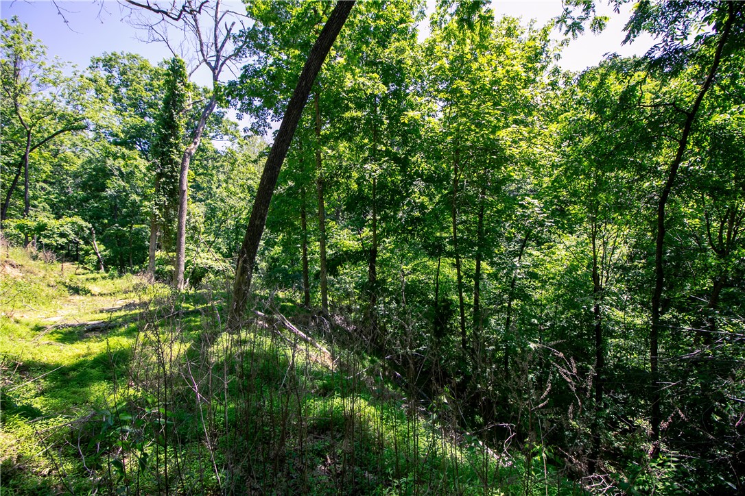 Beaver Shores Unit 5 Rurban&14-19-29-rur - Land