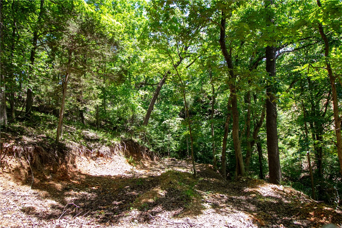 Beaver Shores Unit 5 Rurban&14-19-29-rur - Land