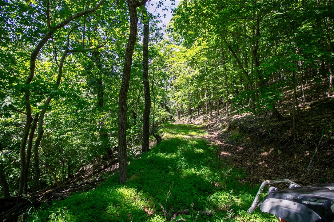 Beaver Shores Unit 5 Rurban&14-19-29-rur - Land