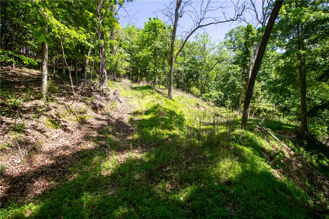 Beaver Shores Unit 5 Rurban&14-19-29-rur - Land