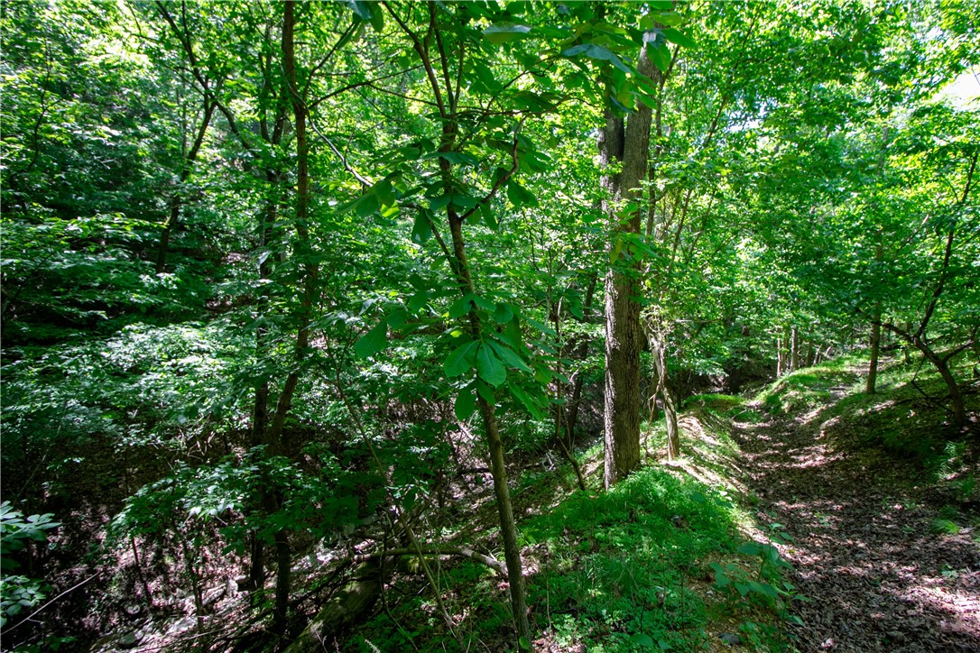 Beaver Shores Unit 5 Rurban&14-19-29-rur - Land