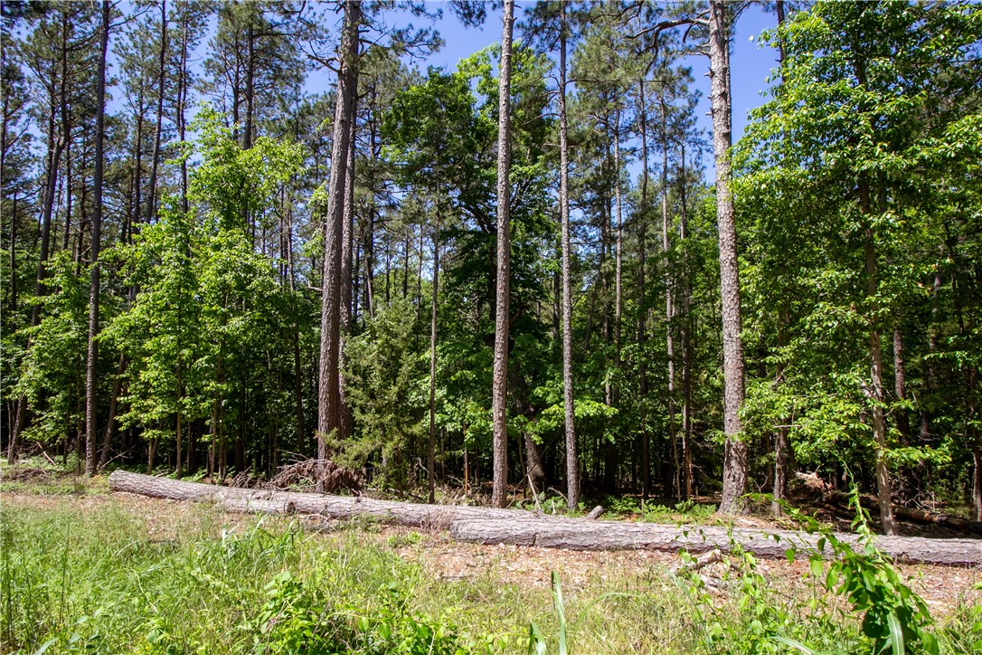 Beaver Shores Unit 5 Rurban&14-19-29-rur - Land
