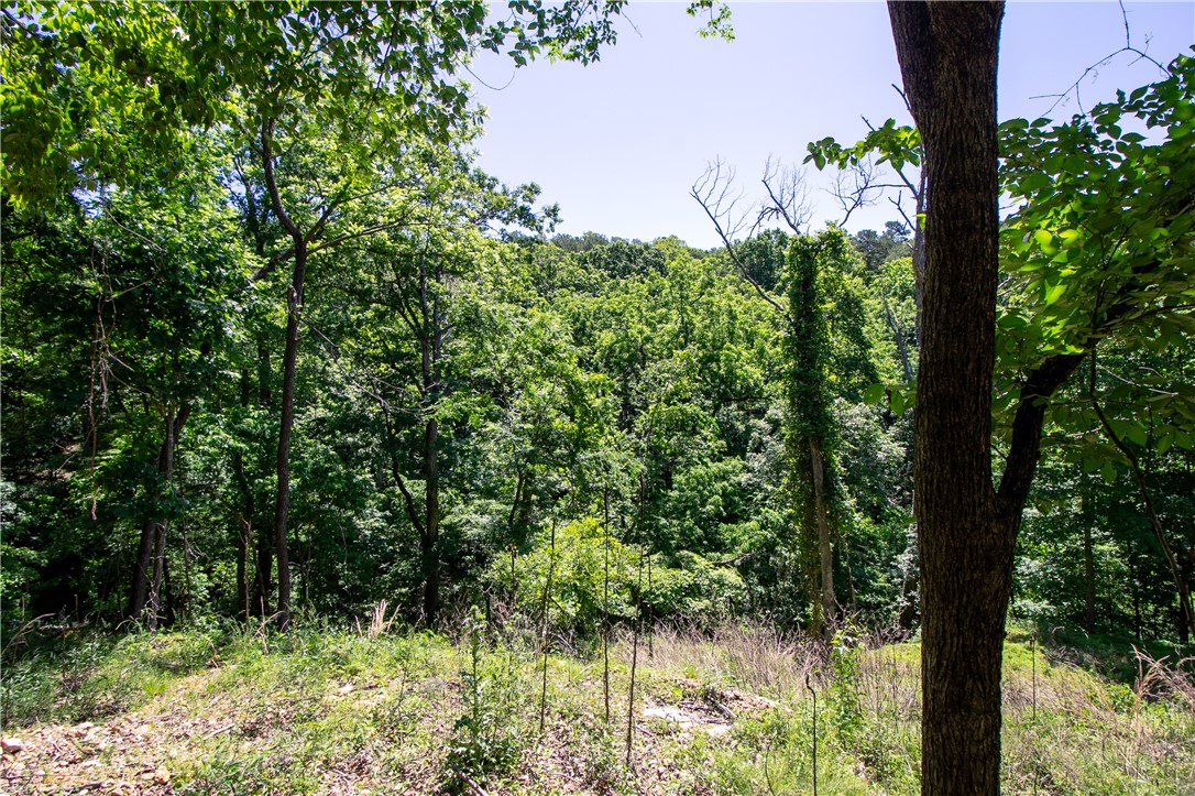 Beaver Shores Unit 5 Rurban&14-19-29-rur - Land