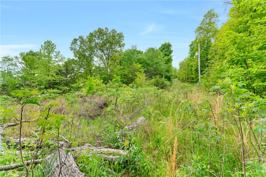 Hickory Hills - Residential