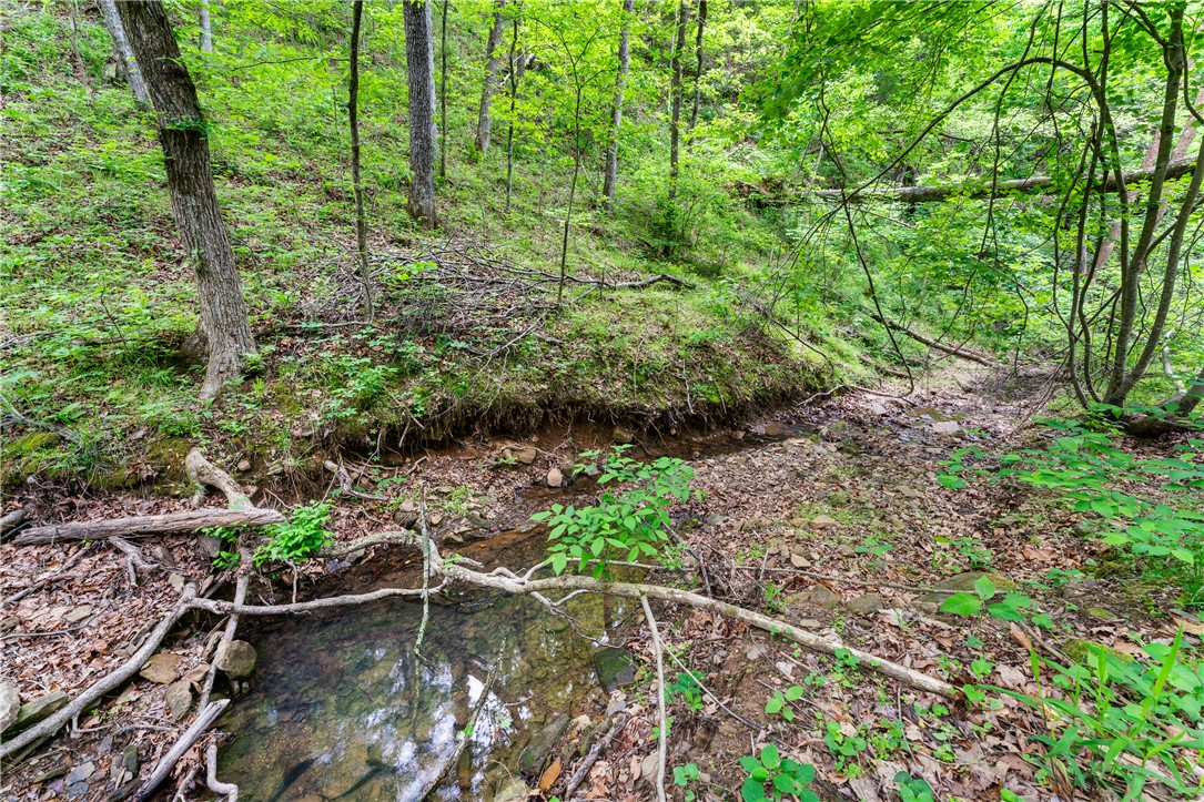 Hickory Hills - Residential