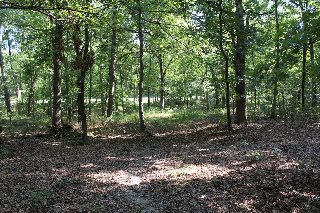 Beautiful 3.07-acre Homesite w/rural water & electric fronting Stagecoach Road. Easy access & located between Gravette & Centerton! Driveway access, nice rolling terrain, mature trees this land lends to a beautiful setting for a homestead with lots of road frontage preventing close proximity neighbors. New survey & easement on east corner to Lot 2. West side of the property is fenced w 4-strand horse wire, steel pipe corners. A quick commute to Walmart Home Office in Bentonville. Seller is related to Listing Agent.