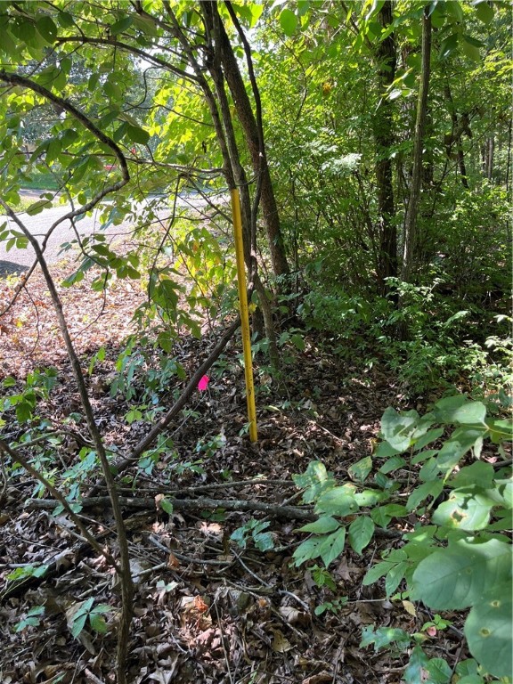 Wunderland Estates - Land