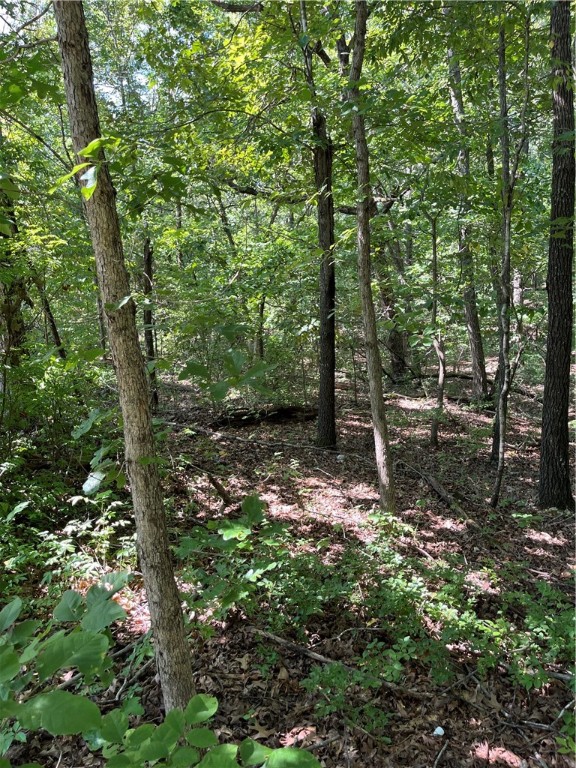 Wunderland Estates - Land