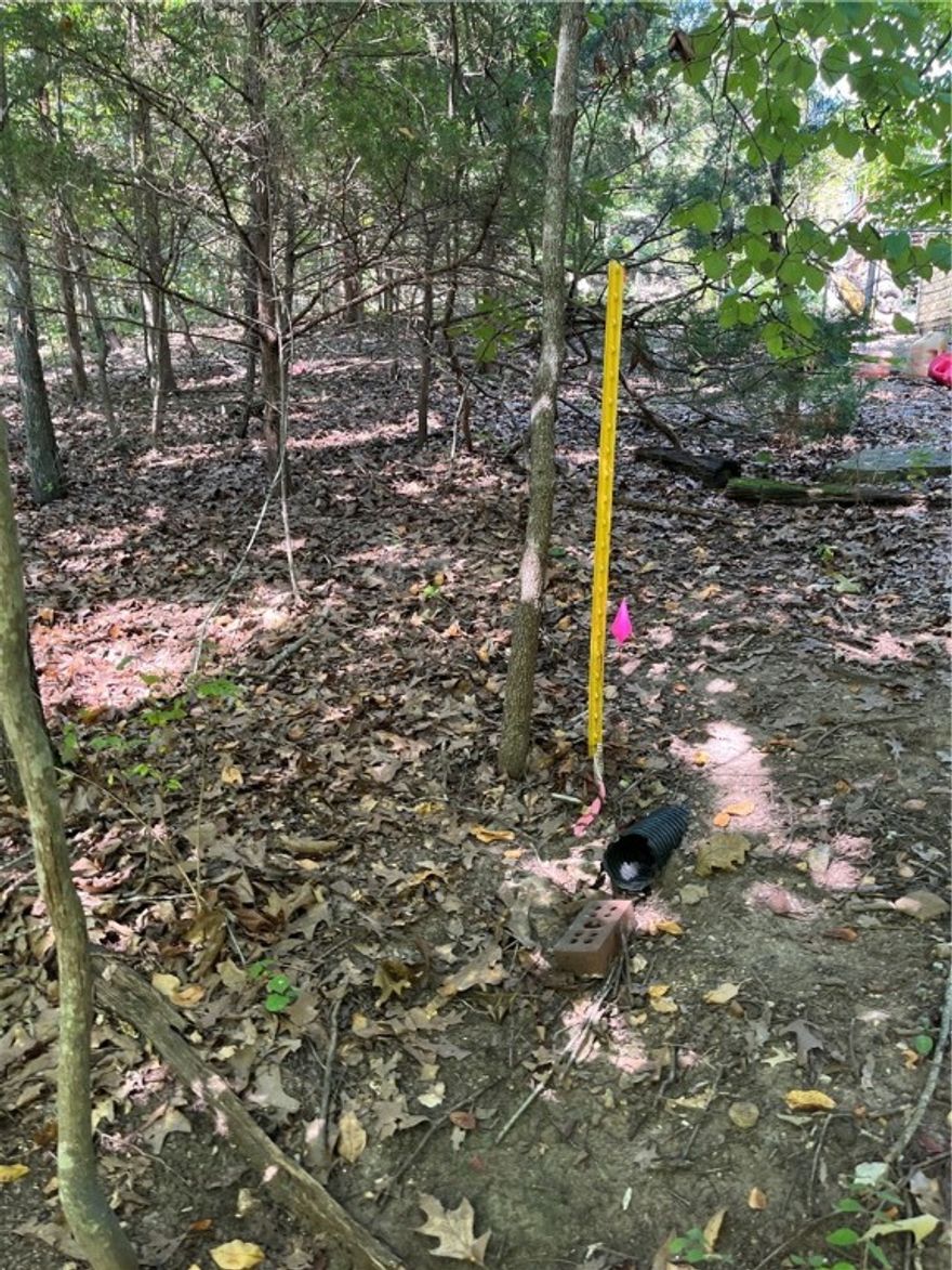 Wooded Residential Lots in Wunderland Est. Subdivision. Close to Bull Shoals Lake. City water & electricity available.