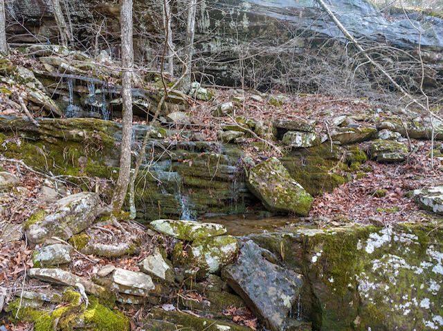 Live water all year... Incredible bluffs, over 1300 feet of highway frontage. This land would be perfect for building not one but several houses along the highway. Or just keep this magnificent land all to yourself. Build your own private hiking trails. Or have a family camping retreat down by the creek. Maybe take your friends rock climbing. The possibilities are endless with this great piece of land. Located close to the Buffalo National River just minutes from the Compton Trailhead. Just down the road is the historic Boxley Valley were Elk roam freely. Grab this chance to own your piece of the Ozarks!