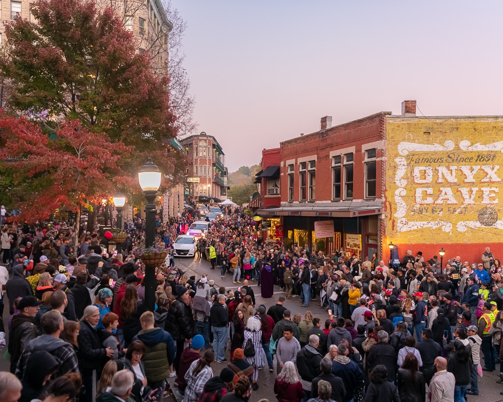 Clayton Survey - Residential