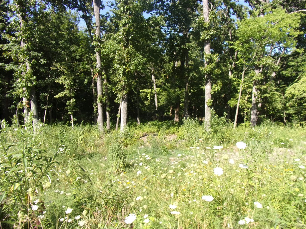 .74 acre in Branchwood Recreation area. 2 adjoining lots ready for your new home. Level at front, slope to rear. Partially cleared, perc test completed. Easy access to Branchwood fitness/recreatioin center walking trails, frisbee golf park. Only minutes to Highland golf course and Country Club, Loch Lomond boat launch, and I-49 to enjoy all NWA has to offer. Common property at rear.