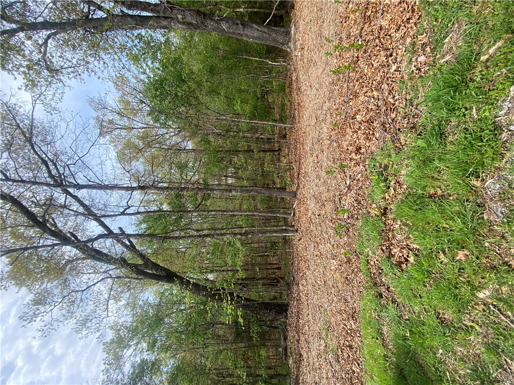 Westminster Sub Bvv - Land