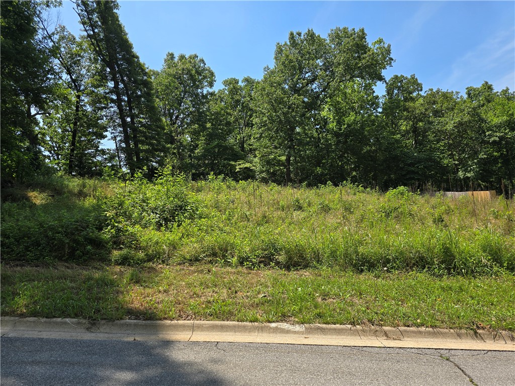 Great building lot, in great Subdivision! Come check it out!!