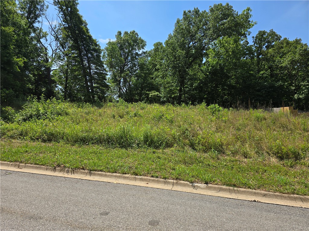 Shepherd Hills Sub Pea Ridge - Land