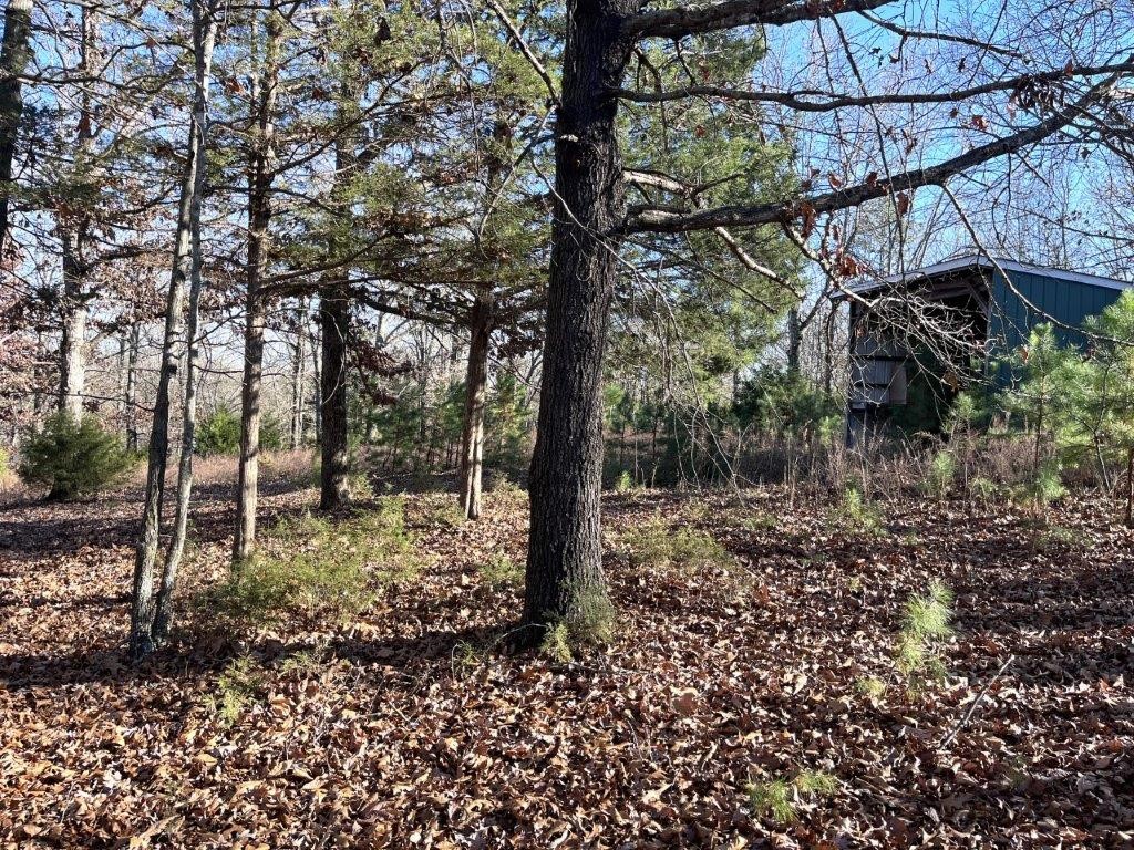 Build your lake area home on this beautiful, wooded 3.23-acre lot in the Rocky Branch area. About a mile and a half from public boat launch at Rocky Branch State Park and Marina. Nearby Hobbs State Park with numerous hiking and biking trails and War Eagle Mill and Caverns. Electric at street, water line with meter on property, Septic needed. Large metal pole barn and partial fencing included. Perfect for a personal or vacation home, cabin or Airbnb! Come see this gorgeous property today!