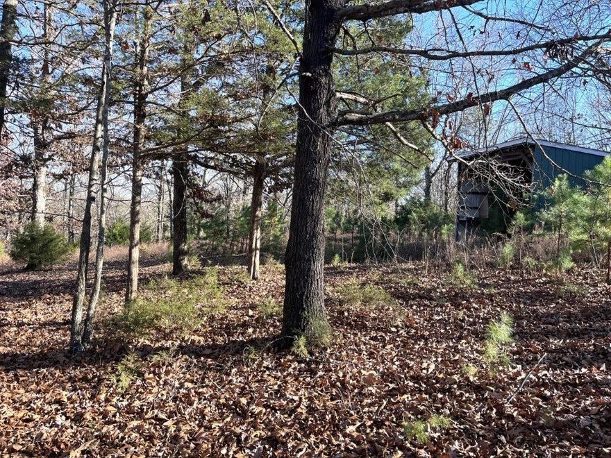 Build your lake area home on this beautiful, wooded 3.23-acre lot in the Rocky Branch area.  About a mile and a half from public boat launch at Rocky Branch State Park and Marina.  Nearby Hobbs State Park with numerous hiking and biking trails and War Eagle Mill and Caverns. Electric at street, water line with meter on property, Septic needed.  Large metal pole barn and partial fencing included.  Perfect for a personal or vacation home, cabin or Airbnb!  Come see this gorgeous property today!