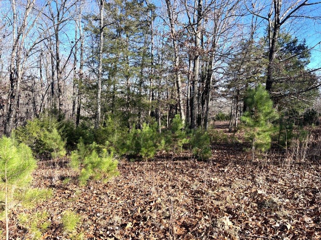 Tanglewood Estates Rurban - Land