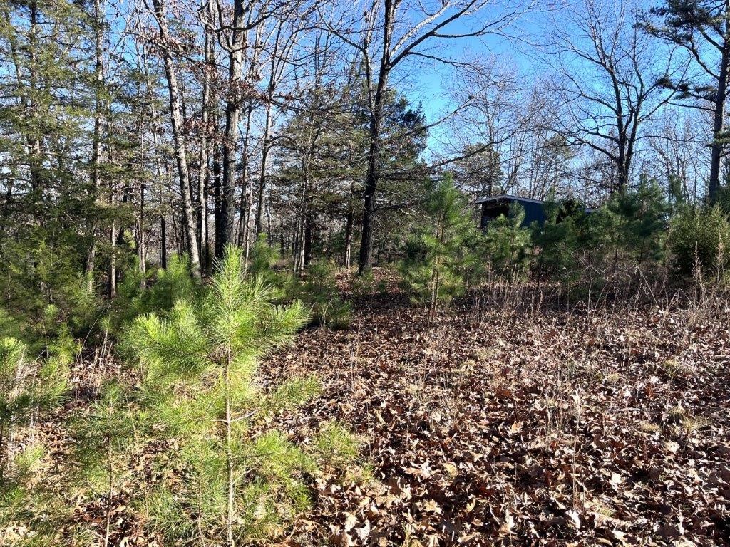 Tanglewood Estates Rurban - Land