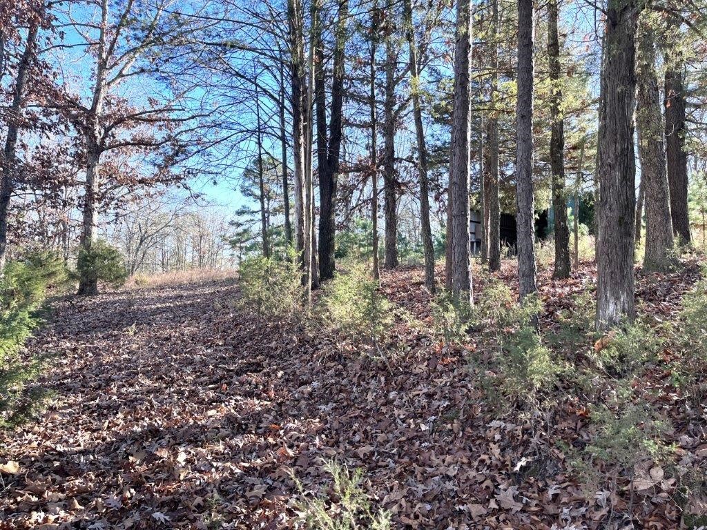 Tanglewood Estates Rurban - Land