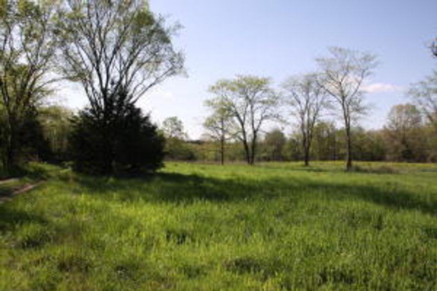 1.5 miles of Long Creek Arm of Table Rock Lake. Some bottom land. One of the best recreational properties in the area. 25 minutes to Branson. Seller will divide.