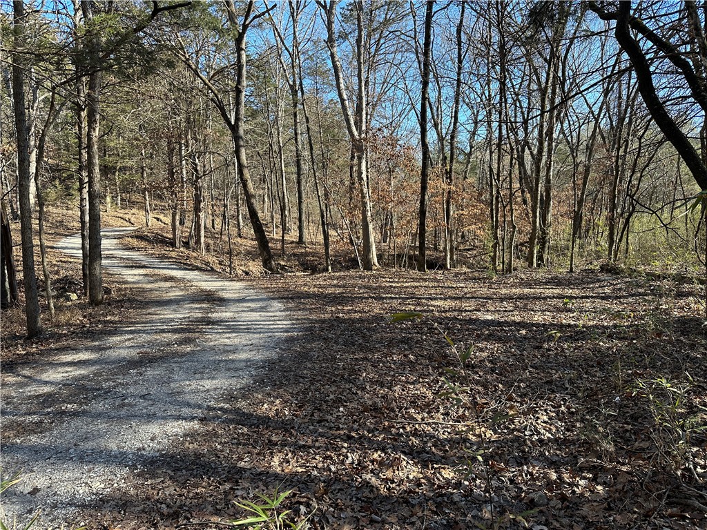 True North Team KW  LAND - Residential