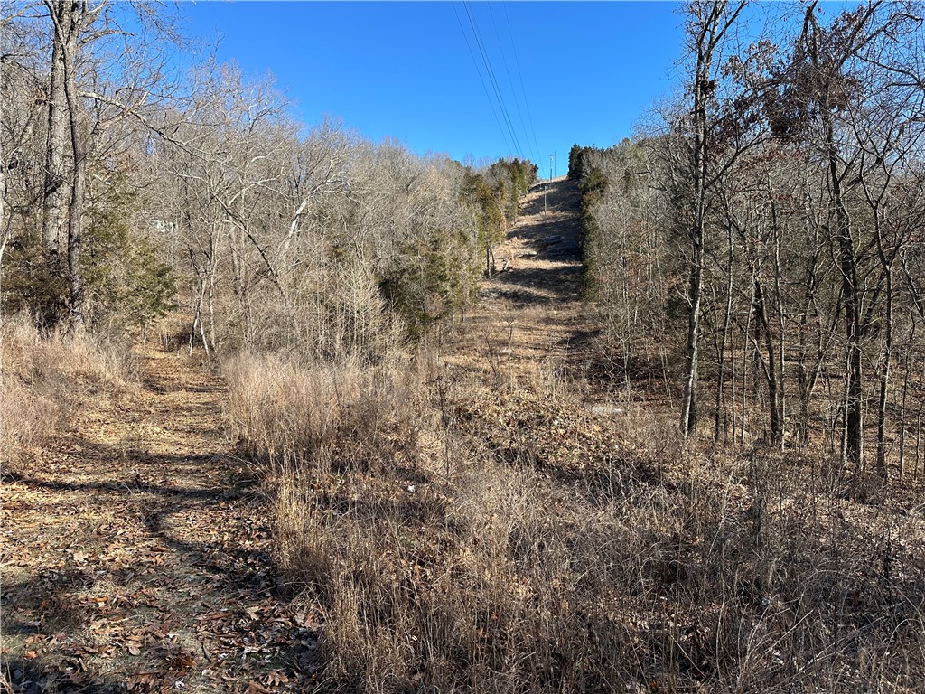 True North Team KW  LAND - Residential