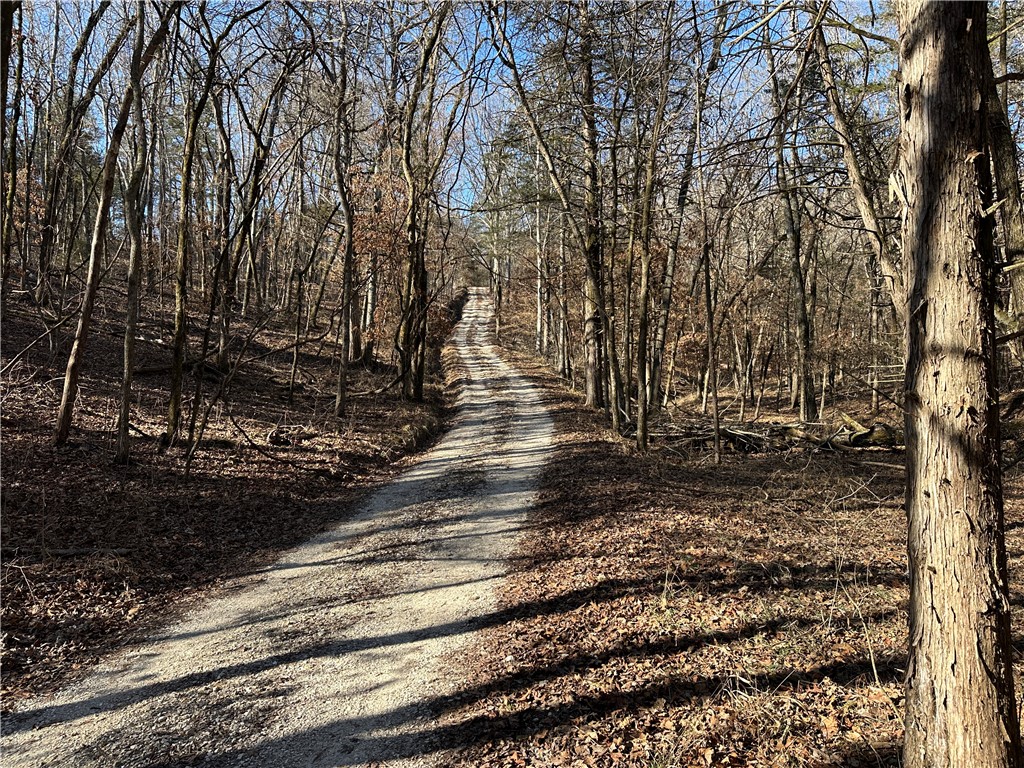 True North Team KW  LAND - Residential