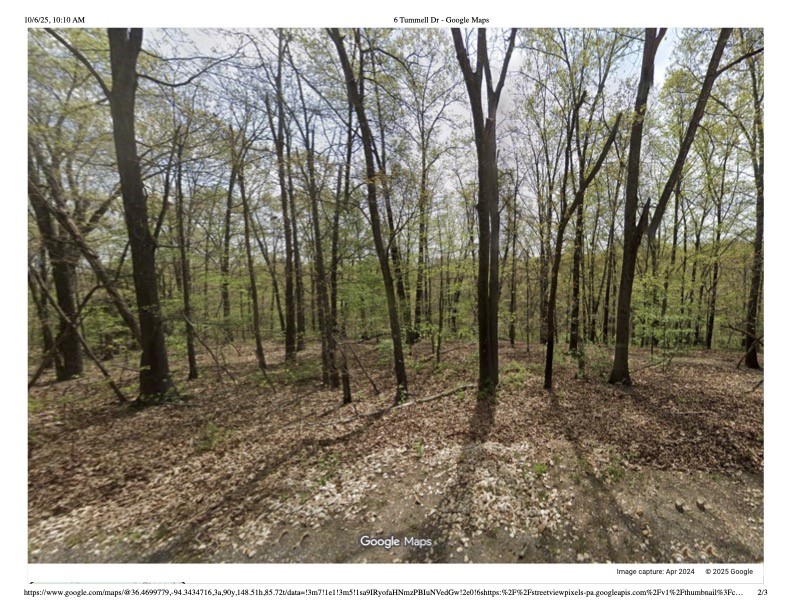 Beautiful wooded .99 acres just minutes from the Northwest shore of Loch Lomond. The three lots allow you the room to pick the best building spot and the oppurtunty for an accessory dwelling unit or shop. Bella Vista is the host to many recreational amenities such as trails, golf, resturants, tennis courts, creeks, lakes, and so much more.