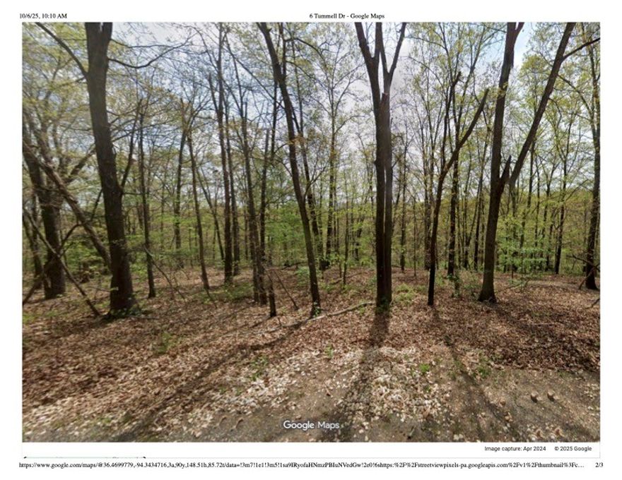 Beautiful wooded .99 acres just minutes from the Northwest shore of Loch Lomond. The three lots allow you the room to pick the best building spot and the oppurtunty for an accessory dwelling unit or shop. Bella Vista is the host to many recreational amenities such as trails, golf, resturants, tennis courts, creeks, lakes, and so much more.